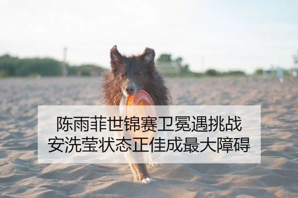 陈雨菲世锦赛卫冕遇挑战 安洗莹状态正佳成最大障碍